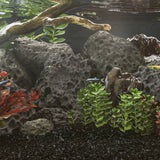 vidaXL Lava Rocks 10 kg 5-8 mm red