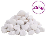 vidaXL Polished Pebbles 2-5 cm 10 kg Black