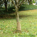 vidaXL Jute rol 200 g/m² 0,25x5 m 100% jute