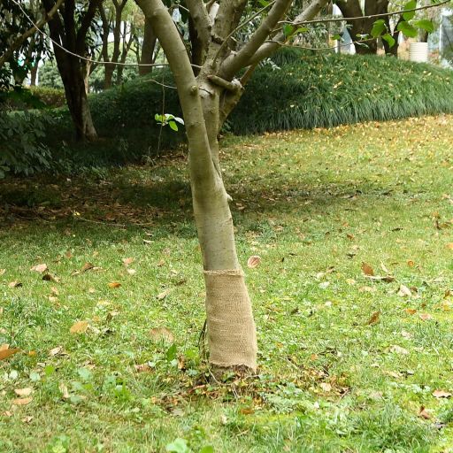 vidaXL Jute roll 200 g/m² 0.25x5 m 100% jute
