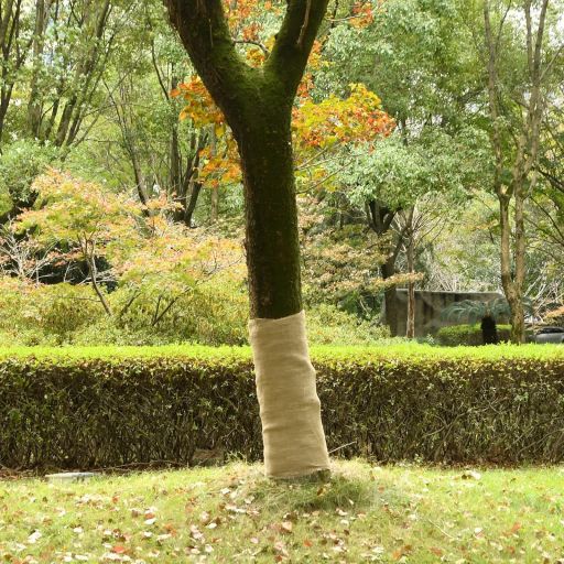 vidaXL Jute roll 200 g/m² 0.25x5 m 100% jute
