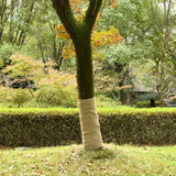 vidaXL Jute roll 200 g/m² 0.25x5 m 100% jute