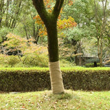 vidaXL Jute roll 200 g/m² 0.25x5 m 100% jute