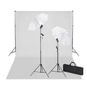 vidaXL Studioset met groene achtergrond en lampen 600x300 cm