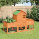 vidaXL Konijnenhok 170x63x113 cm massif vert foncé brun