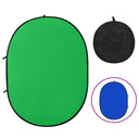 vidaXL Achtergrondscherm studio 2-in-1 ovale 200x150 cm vert et bleu