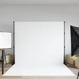 vidaXL Background Stand 254x243 cm Steel Black