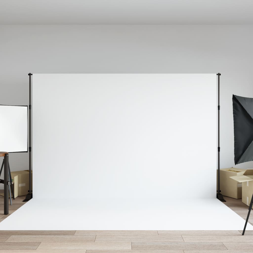 vidaXL Background Stand 254x243 cm Steel Black