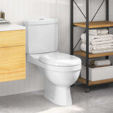 vidaXL Toilet met stortbak zwart