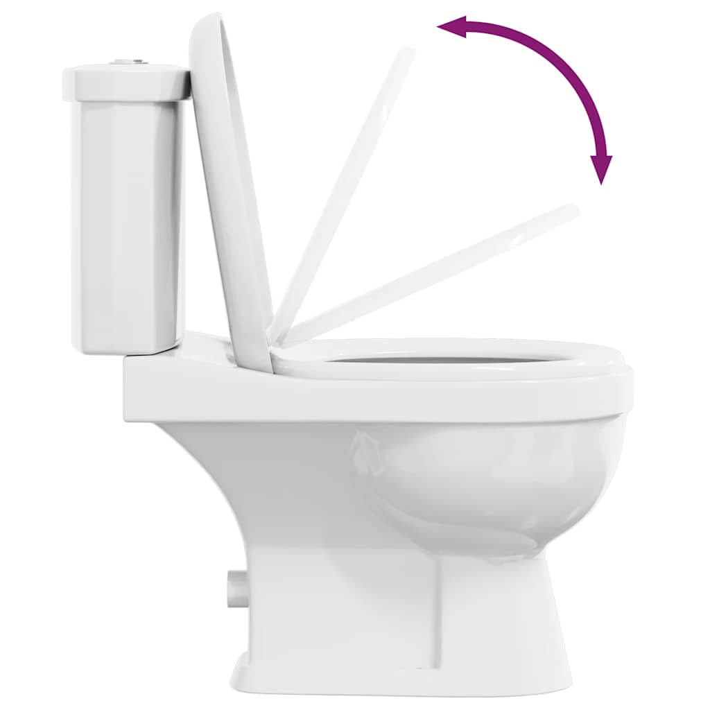 vidaXL Toilet met stortbak zwart