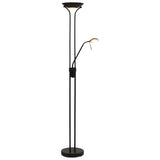 vidaXL Floor Lamp LED Dimmable 23 W