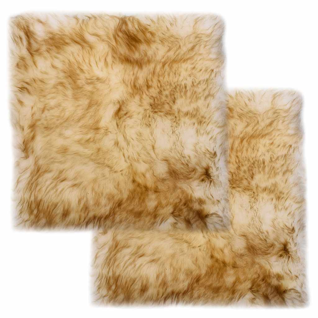 vidaXL Chair Pads 2 pcs 40x40 cm Genuine Sheepskin White