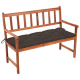 vidaXL Tuinbank met kussen 120 cm massief acaciahout