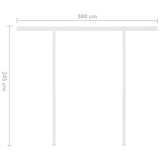 vidaXL Awning Automatically Retractable with Poles 3x2.5 m Anthracite