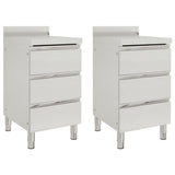 vidaXL Commercial Kitchen Cabinet with 2 Drawers 50x60x96 cm