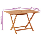 vidaXL Tuintafel inklapbaar 160x85x75 cm massief eucalyptushout