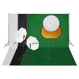 vidaXL Studio de photographie avec ensemble d'éclairage à côté d'un réflecteur
