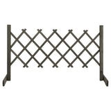 vidaXL Usine de jardin 120x60 cm massif vurenhout orange