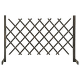 vidaXL Usine de jardin 120x60 cm massif vurenhout orange