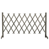 vidaXL Usine de jardin 120x60 cm massif vurenhout orange