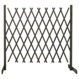 vidaXL Usine de jardin 120x60 cm massif vurenhout orange
