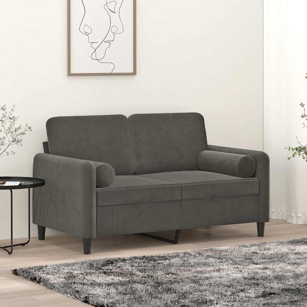 vidaXL Tweezitsbank met kussens 120 cm fluweel lichtgrijs