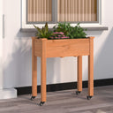 vidaXL Planter on Wheels 71x37x80 cm Solid Pinewood