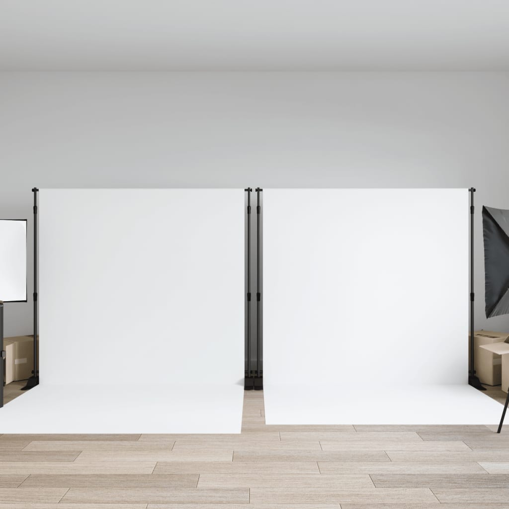 vidaXL Background Stand 254x243 cm Steel Black
