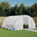 vidaXL Tuinkas avec cadre en acier 16 m² 4x4x2 m vert