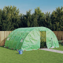 vidaXL Greenhouse with Steel Frame 20 m² 5x4x2.3 m Green