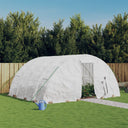 vidaXL Greenhouse with Steel Frame 20 m² 5x4x2.3 m Green