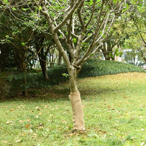vidaXL Jute roll 200 g/m² 0.25x5 m 100% jute