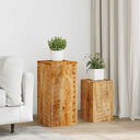 vidaXL Plant Stands 2 pcs Solid Mango Wood