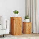 vidaXL Plant Stands 2 pcs Solid Mango Wood