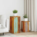 vidaXL Plant Stands 2 pcs Solid Mango Wood
