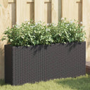vidaXL Planters with 2 Pots 2 pcs 90x20x40 cm Poly Rattan Black