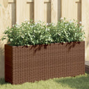 vidaXL Planters with 2 Pots 2 pcs 90x20x40 cm Poly Rattan Black