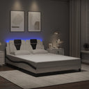 vidaXL Cadre de lit "Viana" avec LED avec matelas noir 80x200 cm