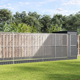 vidaXL Volière met verlengstuk zilver 416x203x216 cm staal