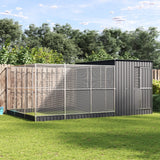 vidaXL Volière met verlengstuk zilver 416x203x216 cm staal