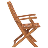 vidaXL Tuinstoelen inklapbaar 2 st massief acaciahout