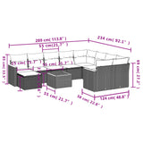 vidaXL 11-delige Loungeset met kussens poly rattan zwart