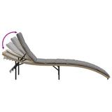 vidaXL Ligbedden 2 st met kussens poly rattan zwart