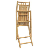 vidaXL Tuinstoelen 4 st inklapbaar 46x66x99 bamboe