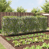 vidaXL Plantenklimrekken 2 st U-frame staal