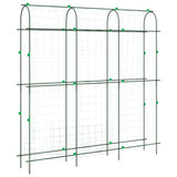 vidaXL Plantenklimrekken 2 st U-frame staal