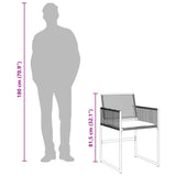 vidaXL 9-delige Tuinset poly rattan zwart