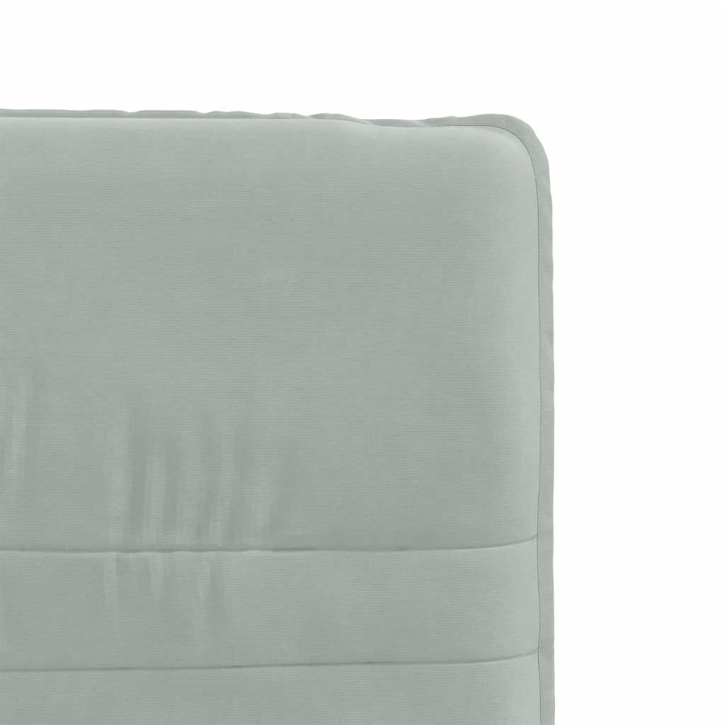 vidaXL Eetkamerstoelen 2 st fluweel lichtgrijs