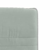 vidaXL Eetkamerstoelen 2 st fluweel lichtgrijs