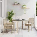 vidaXL Tuin Eettafel Set 3 pcs Zwart poly rattan